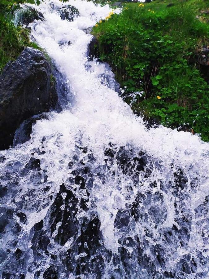 הוילה וורוכטה Кришталеві Вершини מראה חיצוני תמונה